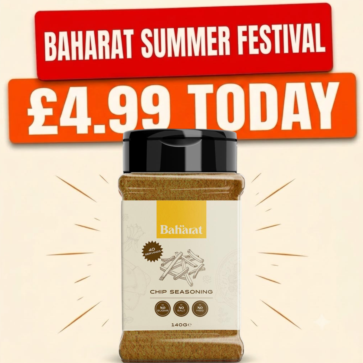100g Chip Seasoning